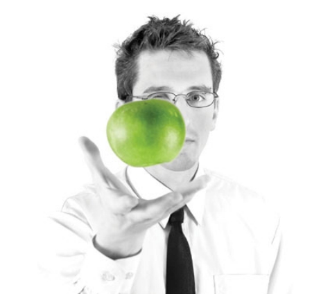 бизнес план овощи фрукты
